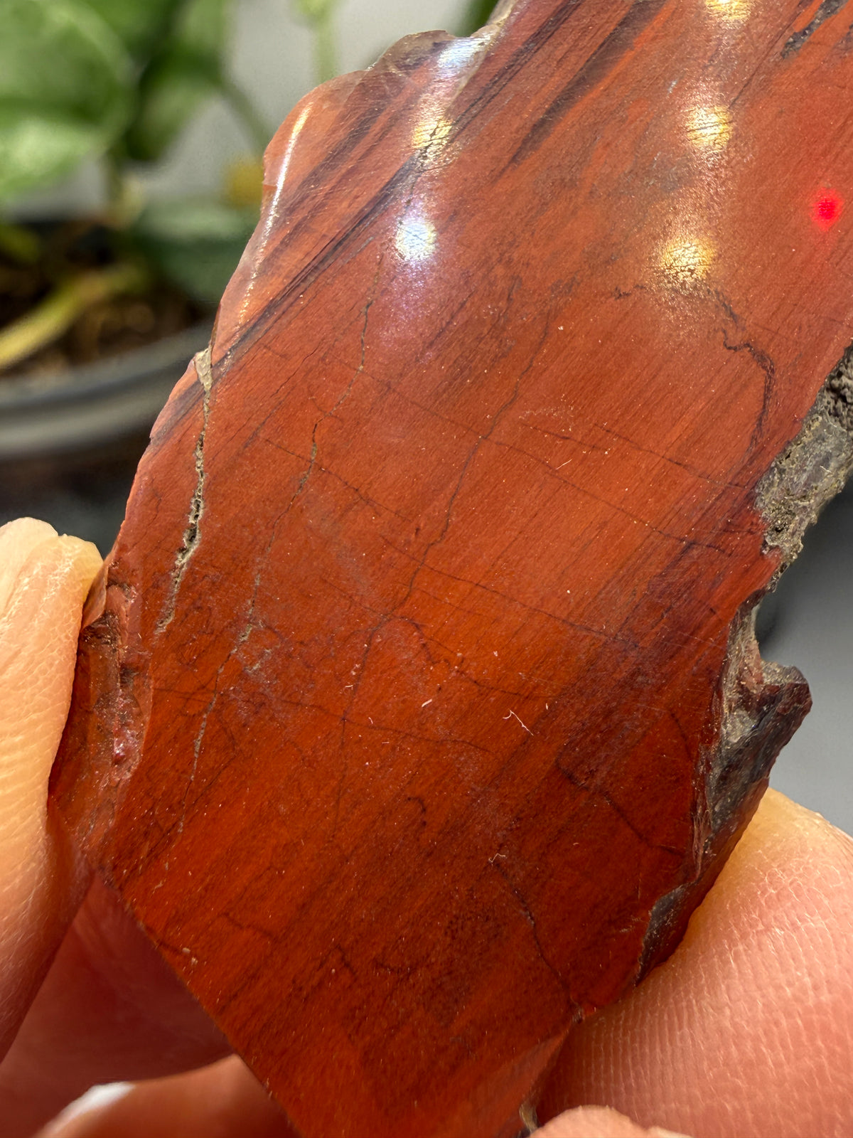 Red Jasper (Binghamite)- Crosby, Crow Wing County, Minnesota, USA