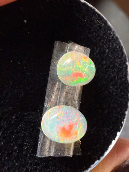WOW-MATCHED PAIR! Natural Welo Opal Cabochon 8x6x4mm, 1.6ct total- Broadflash/floral/painterly, reds!