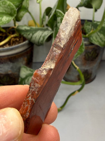 Red Jasper (Binghamite)- Crosby, Crow Wing County, Minnesota, USA