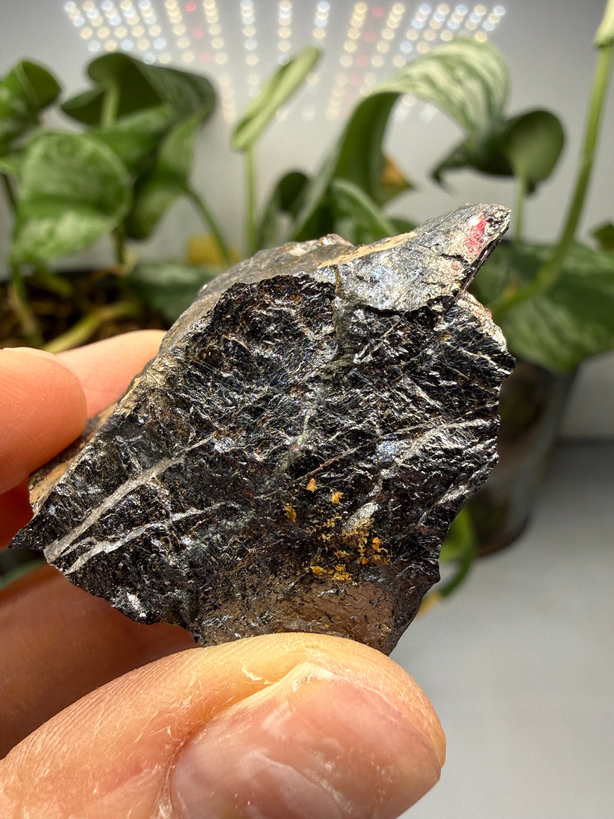 Rutile- Kragerø, Telemark, Norway
