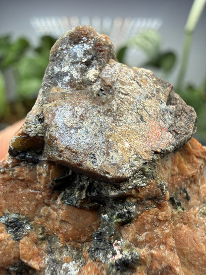 Corundum- Burgess Mine, New Carlow, Hastings County, Ontario, Canada