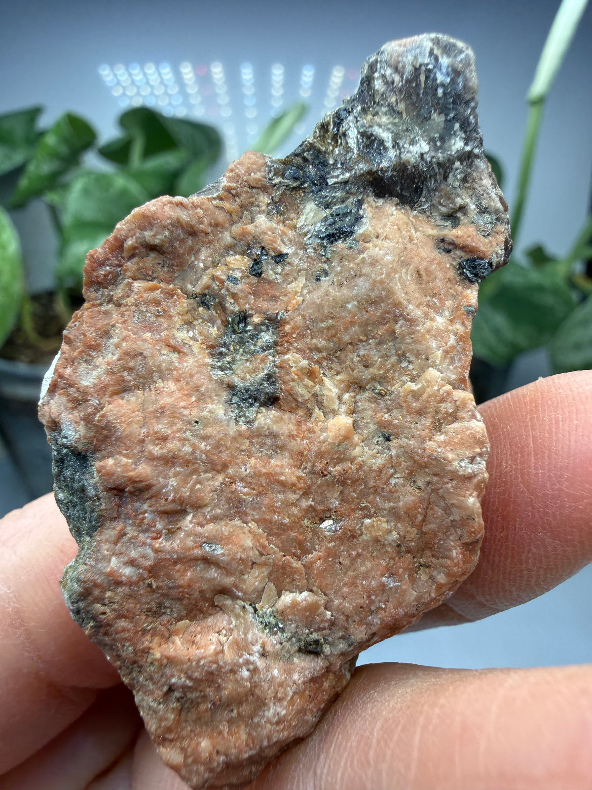 Corundum- Burgess Mine, New Carlow, Hastings County, Ontario, Canada