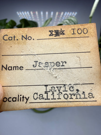 Jasper (Banded)- Lavic, San Bernardino County, California, USA