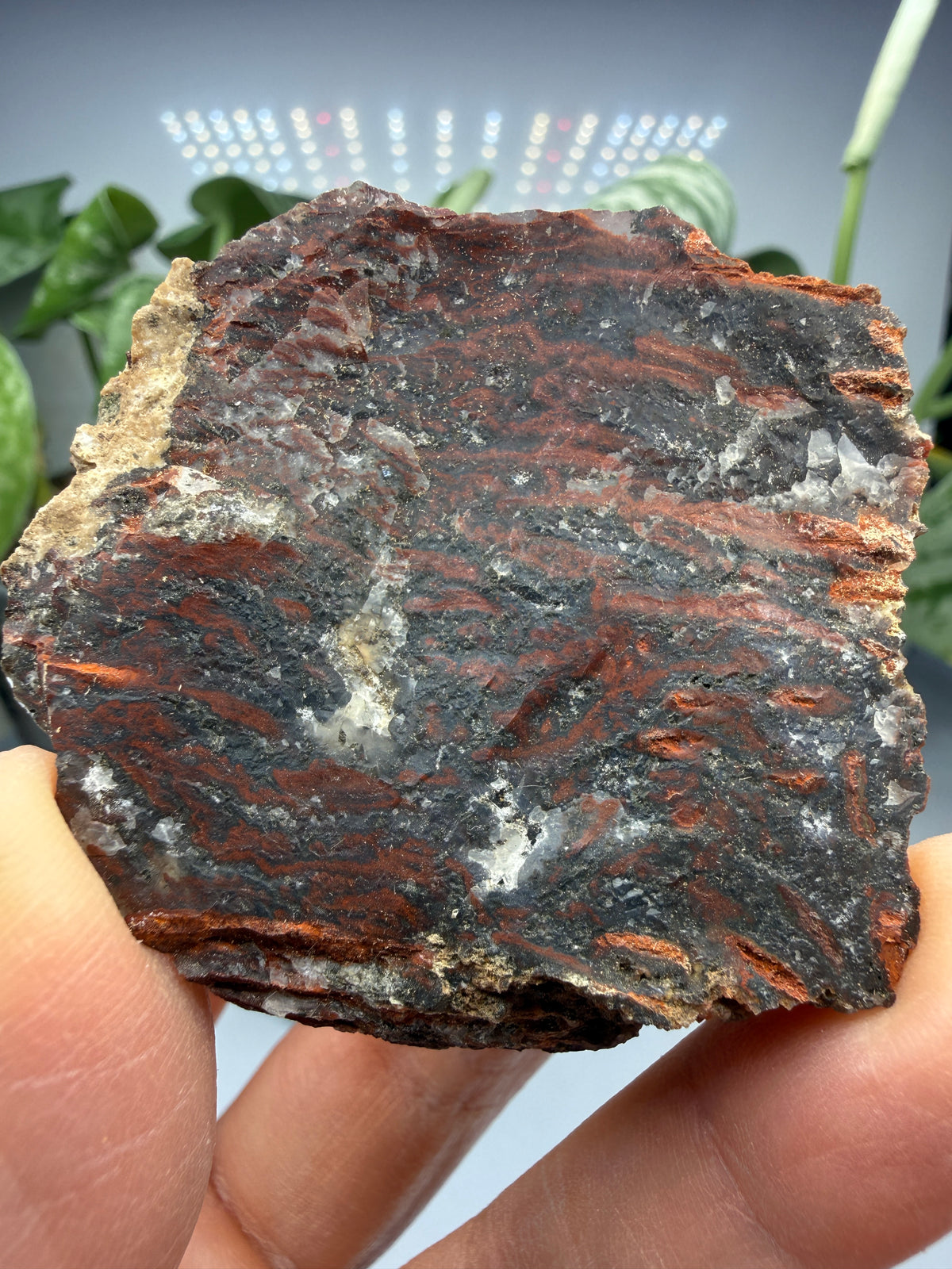 Jasper (Banded)- Lavic, San Bernardino County, California, USA