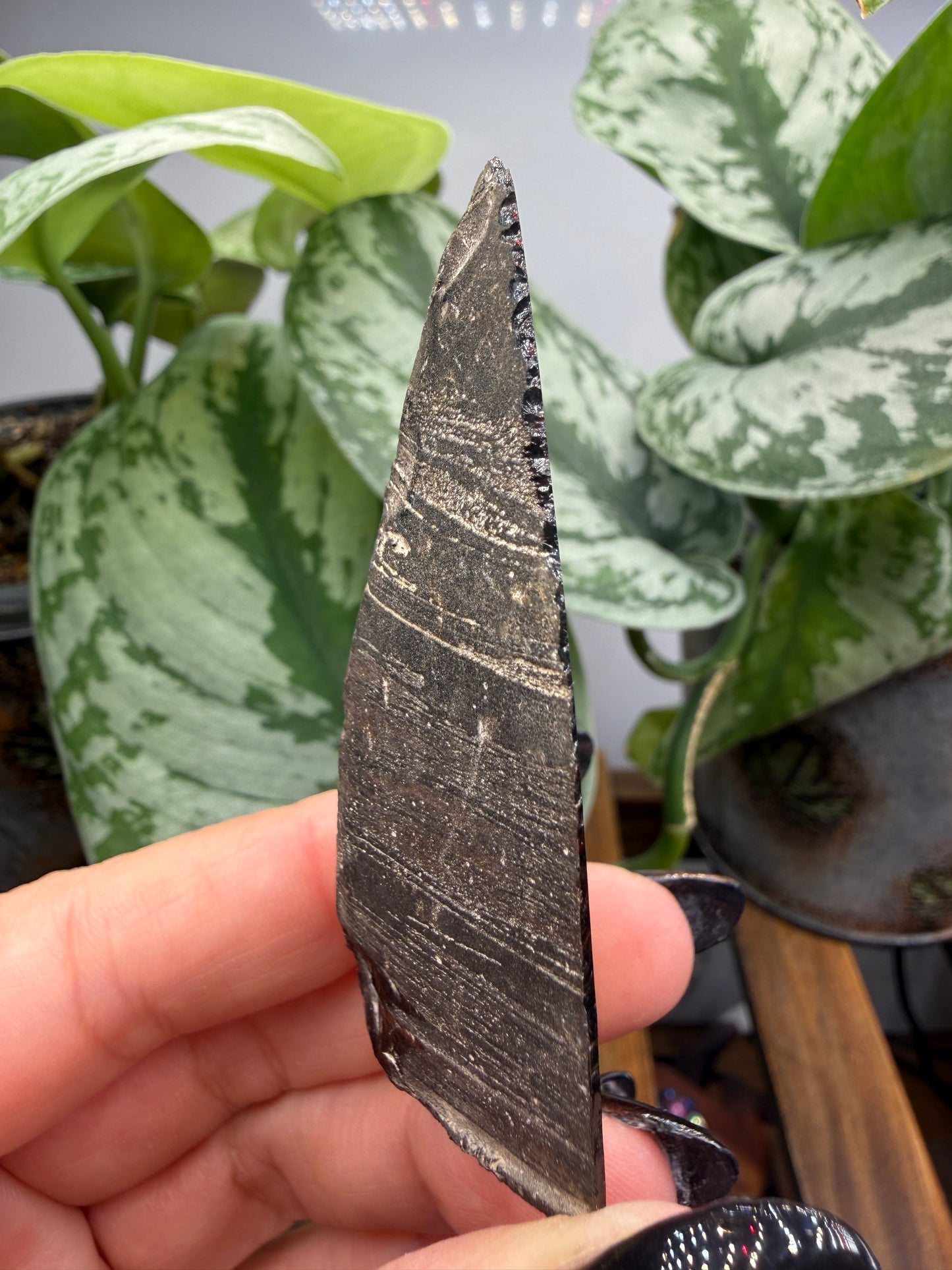 Obsidian- Unknown locality