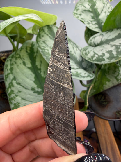 Obsidian- Unknown locality