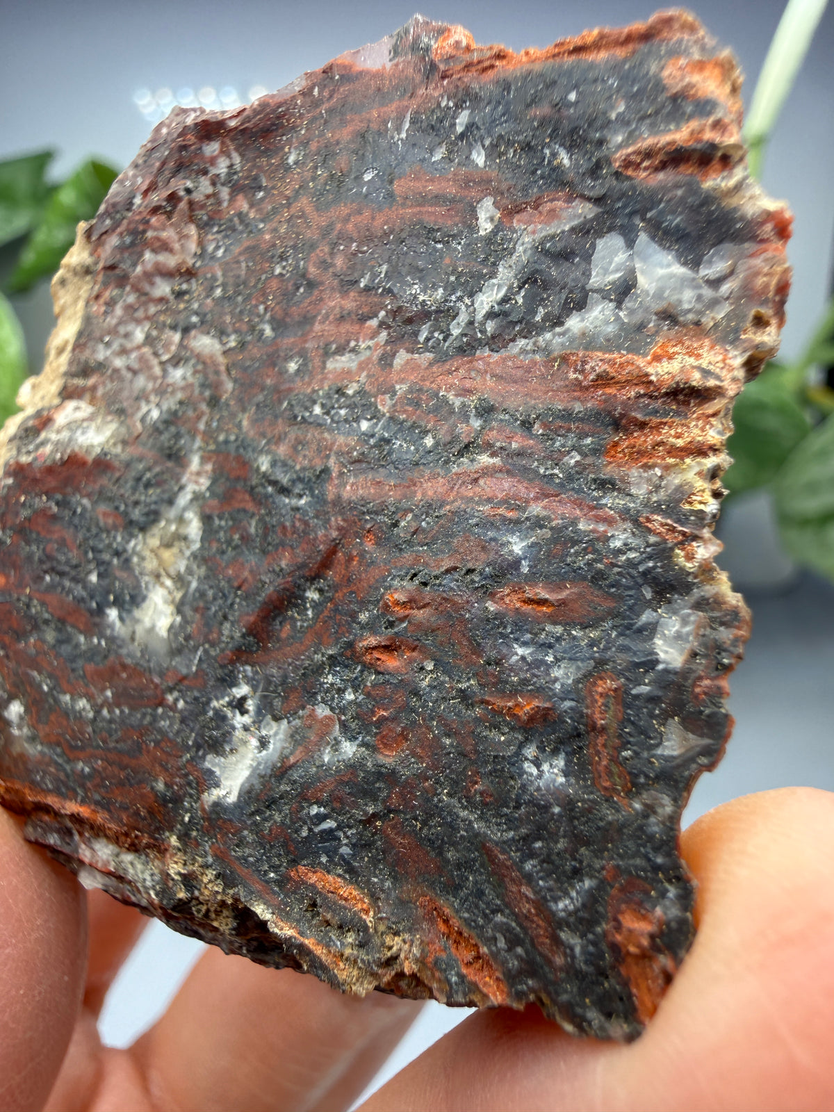 Jasper (Banded)- Lavic, San Bernardino County, California, USA