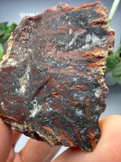 Jasper (Banded)- Lavic, San Bernardino County, California, USA