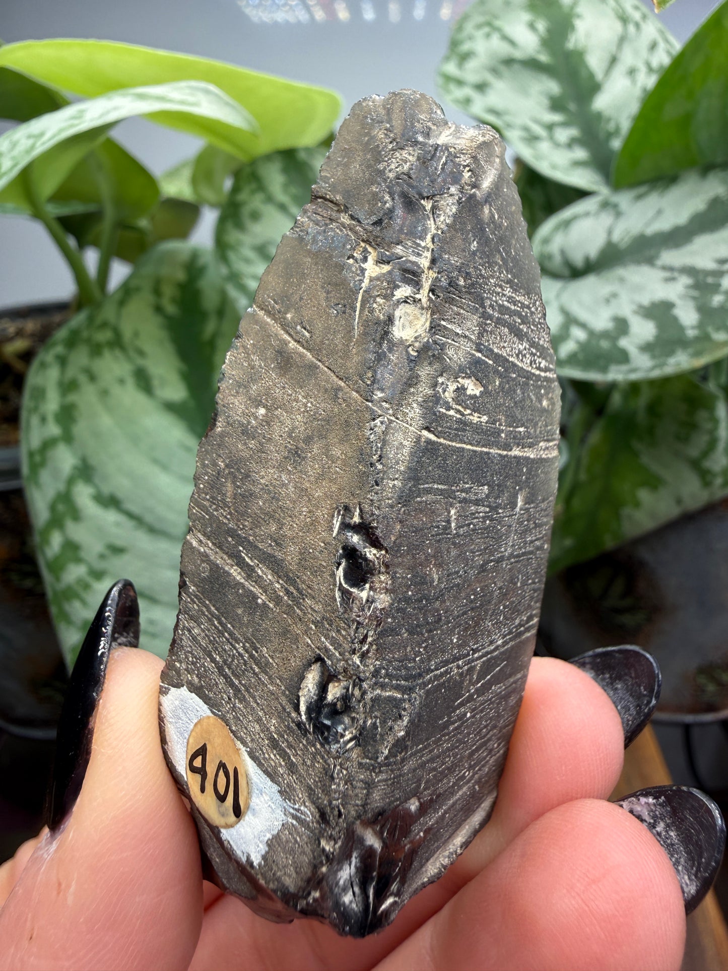Obsidian- Unknown locality
