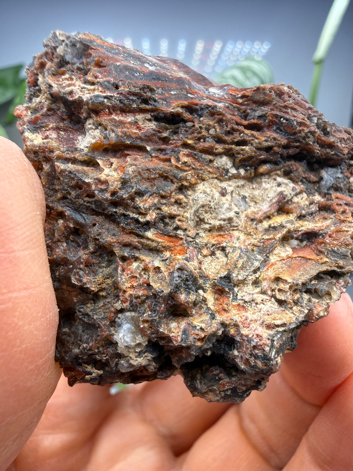 Jasper (Banded)- Lavic, San Bernardino County, California, USA