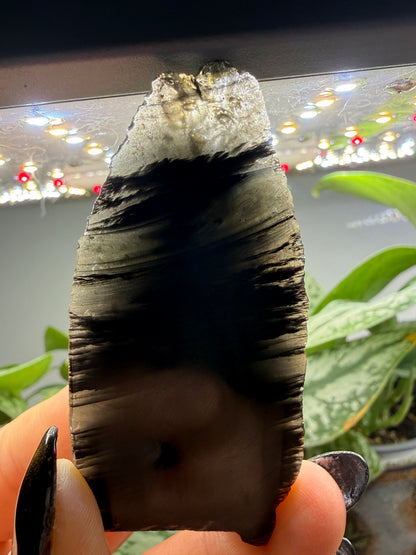 Obsidian- Unknown locality