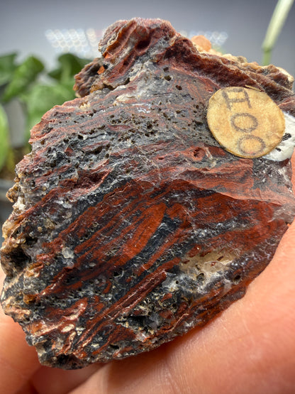 Jasper (Banded)- Lavic, San Bernardino County, California, USA