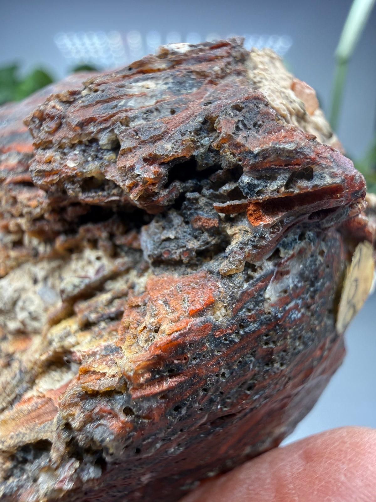 Jasper (Banded)- Lavic, San Bernardino County, California, USA