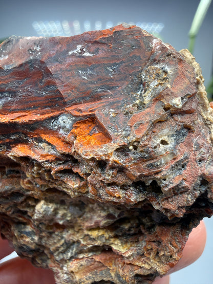 Jasper (Banded)- Lavic, San Bernardino County, California, USA