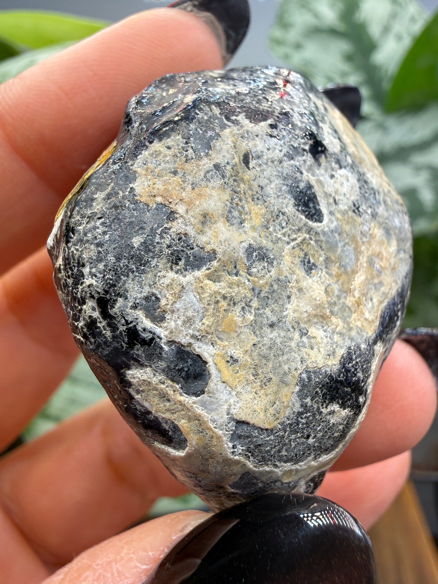 Obsidian Node- Attributed to Arizona