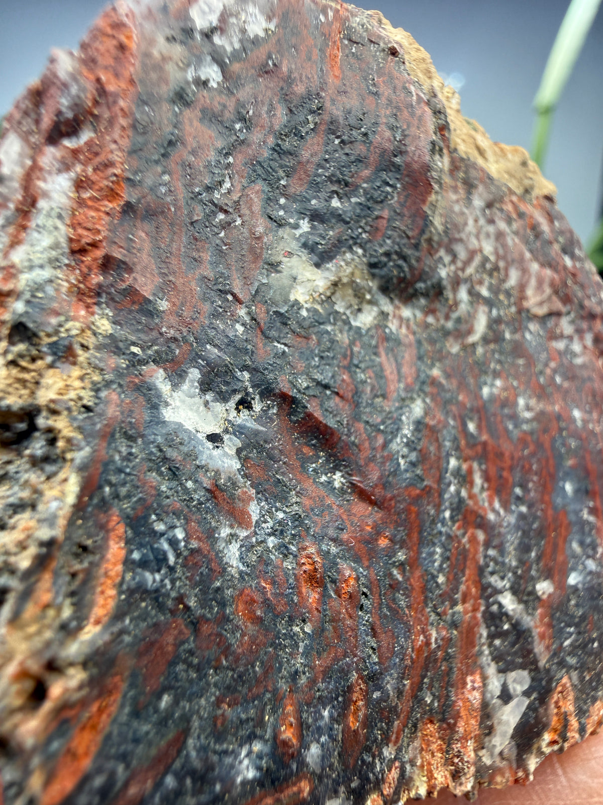 Jasper (Banded)- Lavic, San Bernardino County, California, USA