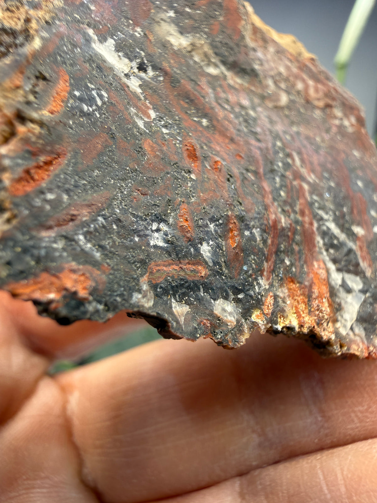 Jasper (Banded)- Lavic, San Bernardino County, California, USA