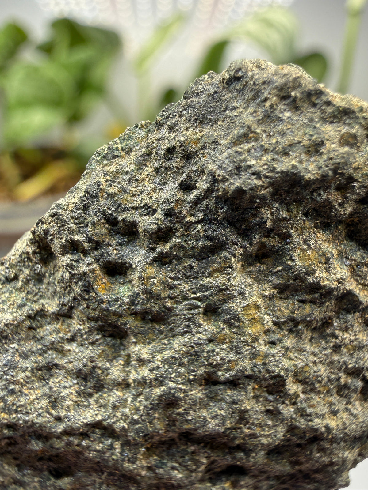 Chromite- Selukwe (Shurugwi), Midlands Province, Zimbabwe (formerly Southern Rhodesia)