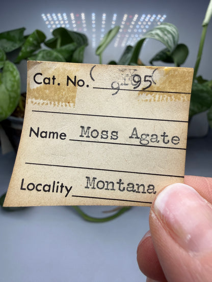 Moss Agate (Dendritic Chalcedony)- Montana, USA
