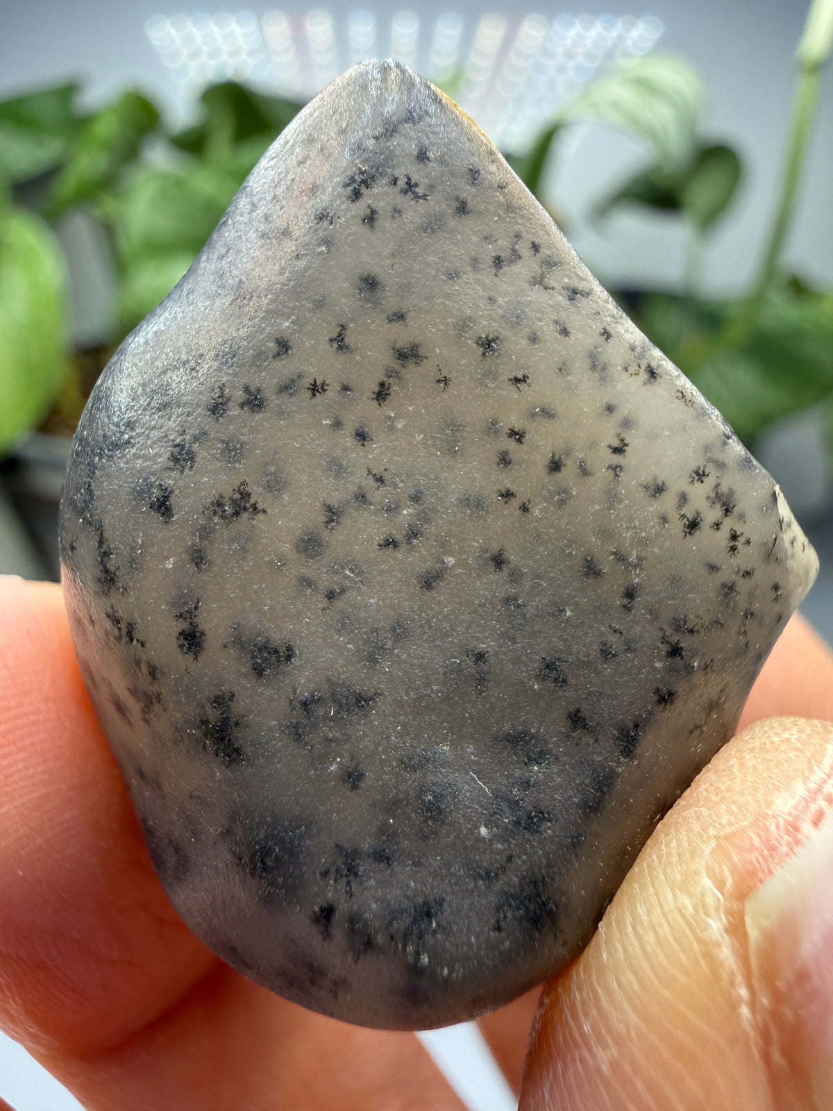 Moss Agate (Dendritic Chalcedony)- Montana, USA
