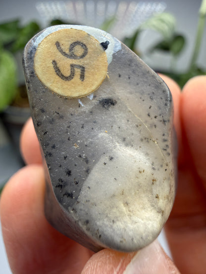 Moss Agate (Dendritic Chalcedony)- Montana, USA