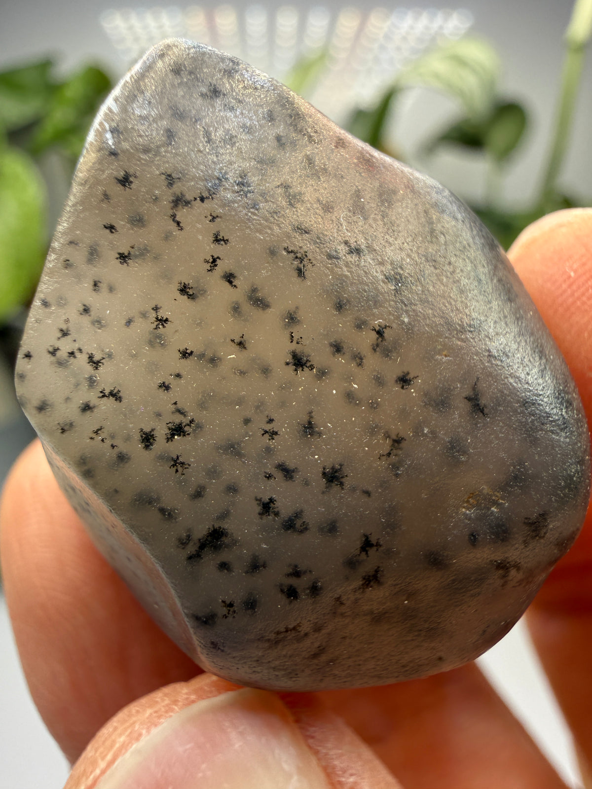 Moss Agate (Dendritic Chalcedony)- Montana, USA