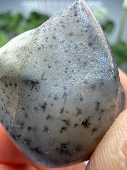 Moss Agate (Dendritic Chalcedony)- Montana, USA