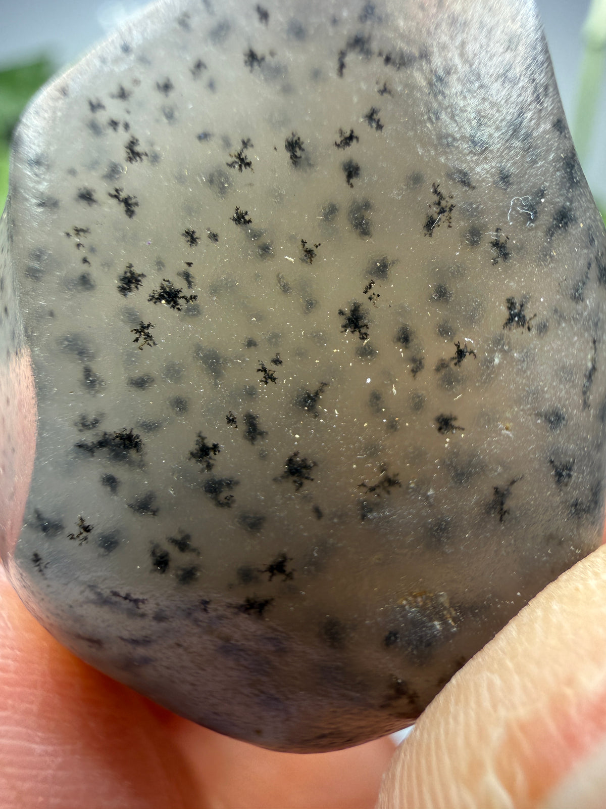 Moss Agate (Dendritic Chalcedony)- Montana, USA