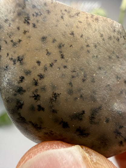 Moss Agate (Dendritic Chalcedony)- Montana, USA