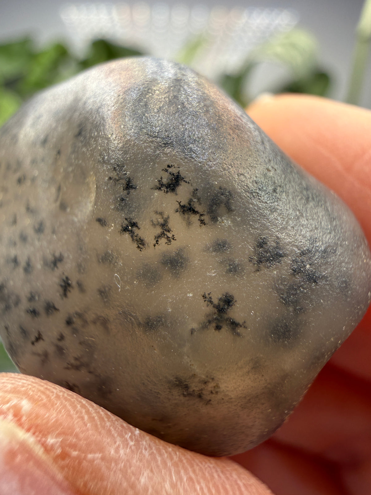 Moss Agate (Dendritic Chalcedony)- Montana, USA
