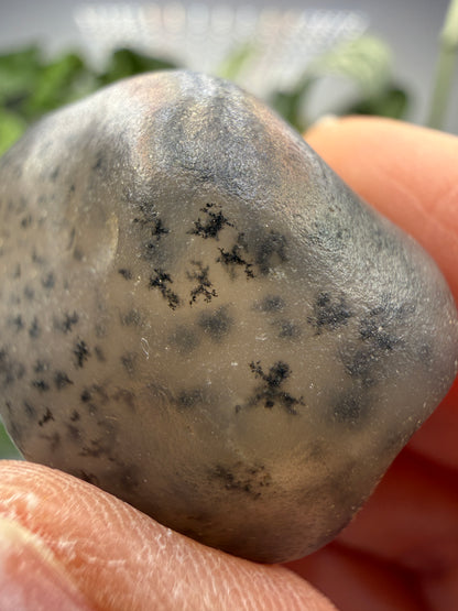 Moss Agate (Dendritic Chalcedony)- Montana, USA