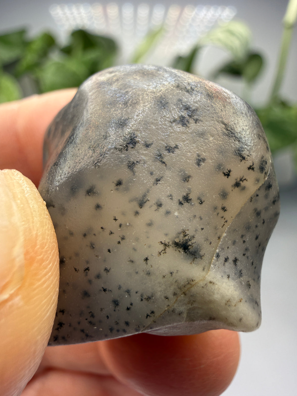 Moss Agate (Dendritic Chalcedony)- Montana, USA