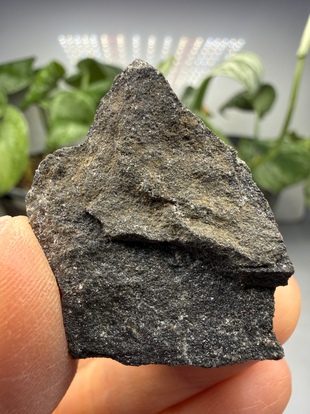 Hollandite- Virgin Valley, Humboldt County, Nevada, USA
