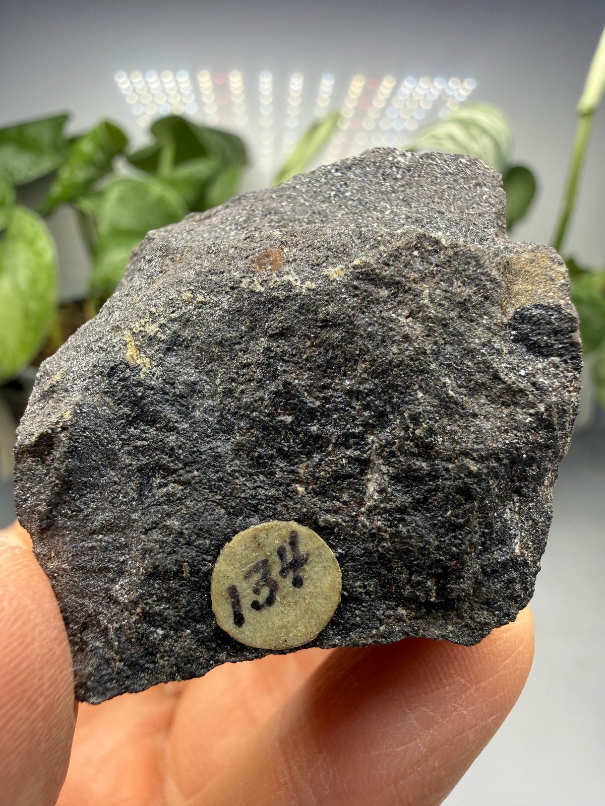 Hollandite- Virgin Valley, Humboldt County, Nevada, USA