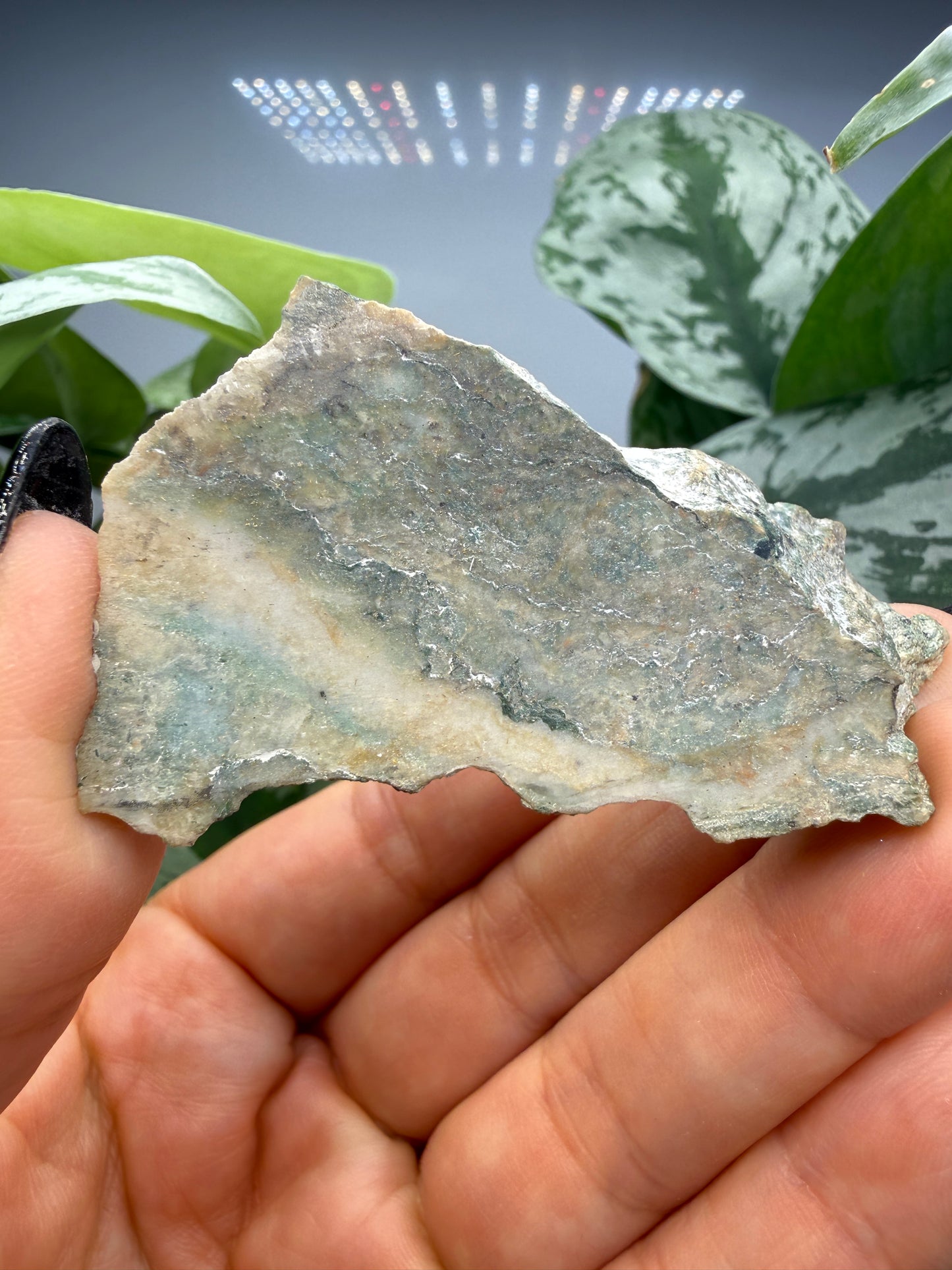 Mariposite Slab- Mariposa County, California, USA