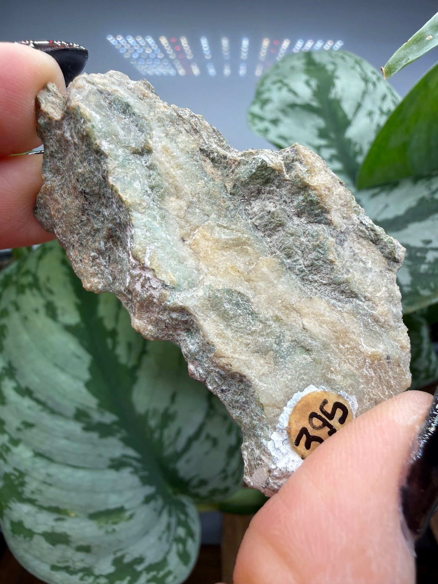 Mariposite Slab- Mariposa County, California, USA
