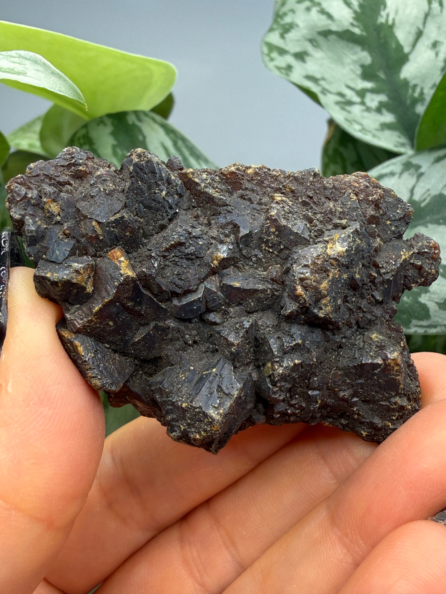 Sphalerite, var "Ruby Jack"- Attributed to Joplin, Missouri