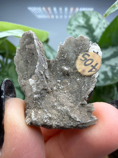 Selenite- Attributed to Washington, USA