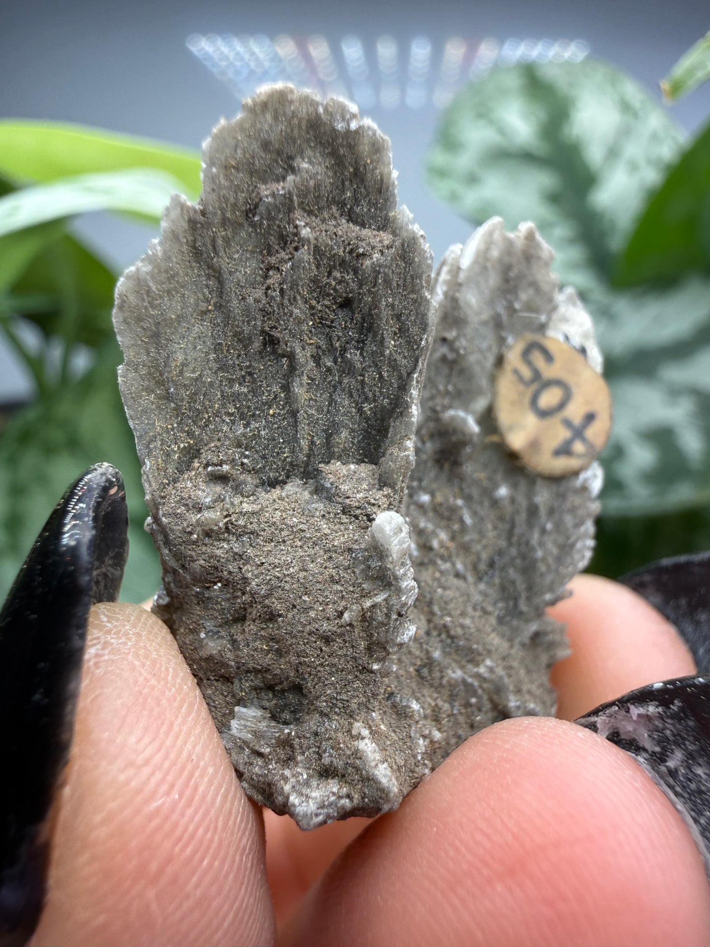 Selenite- Attributed to Washington, USA