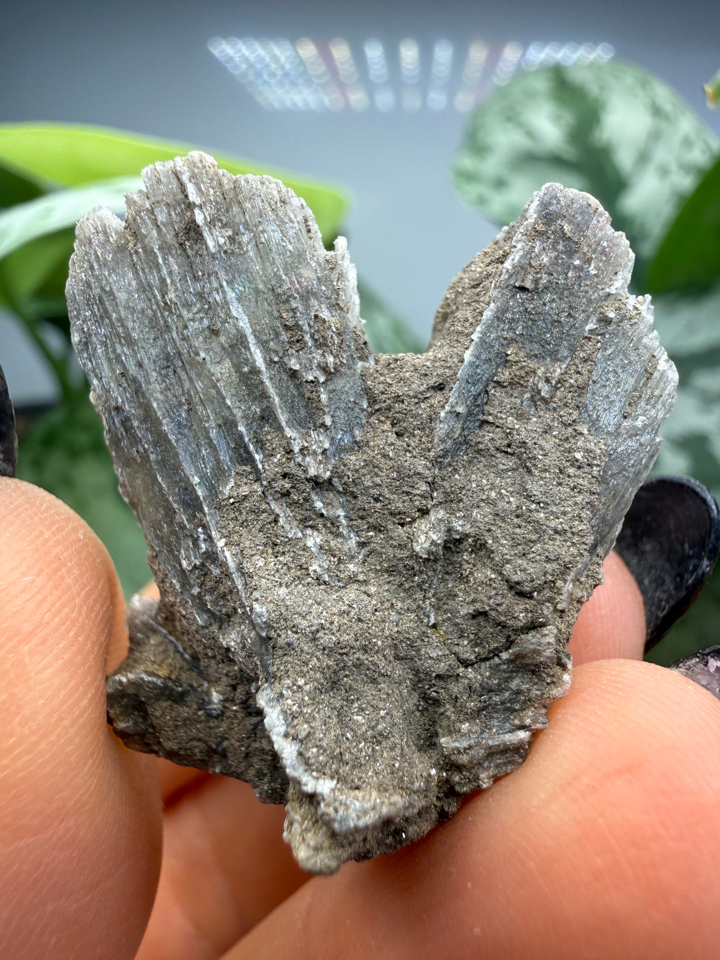 Selenite- Attributed to Washington, USA