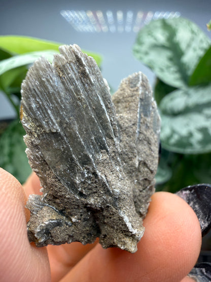 Selenite- Attributed to Washington, USA