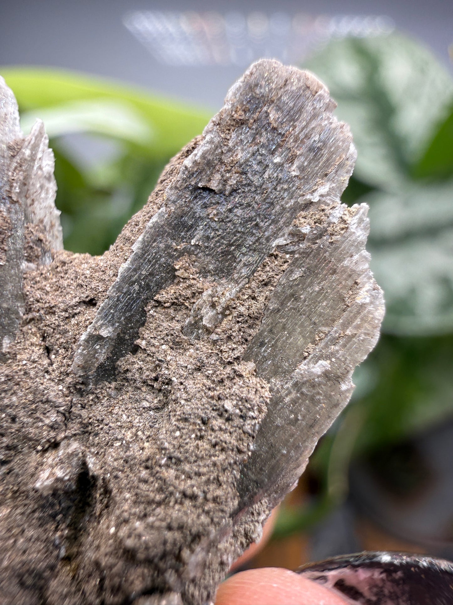 Selenite- Attributed to Washington, USA