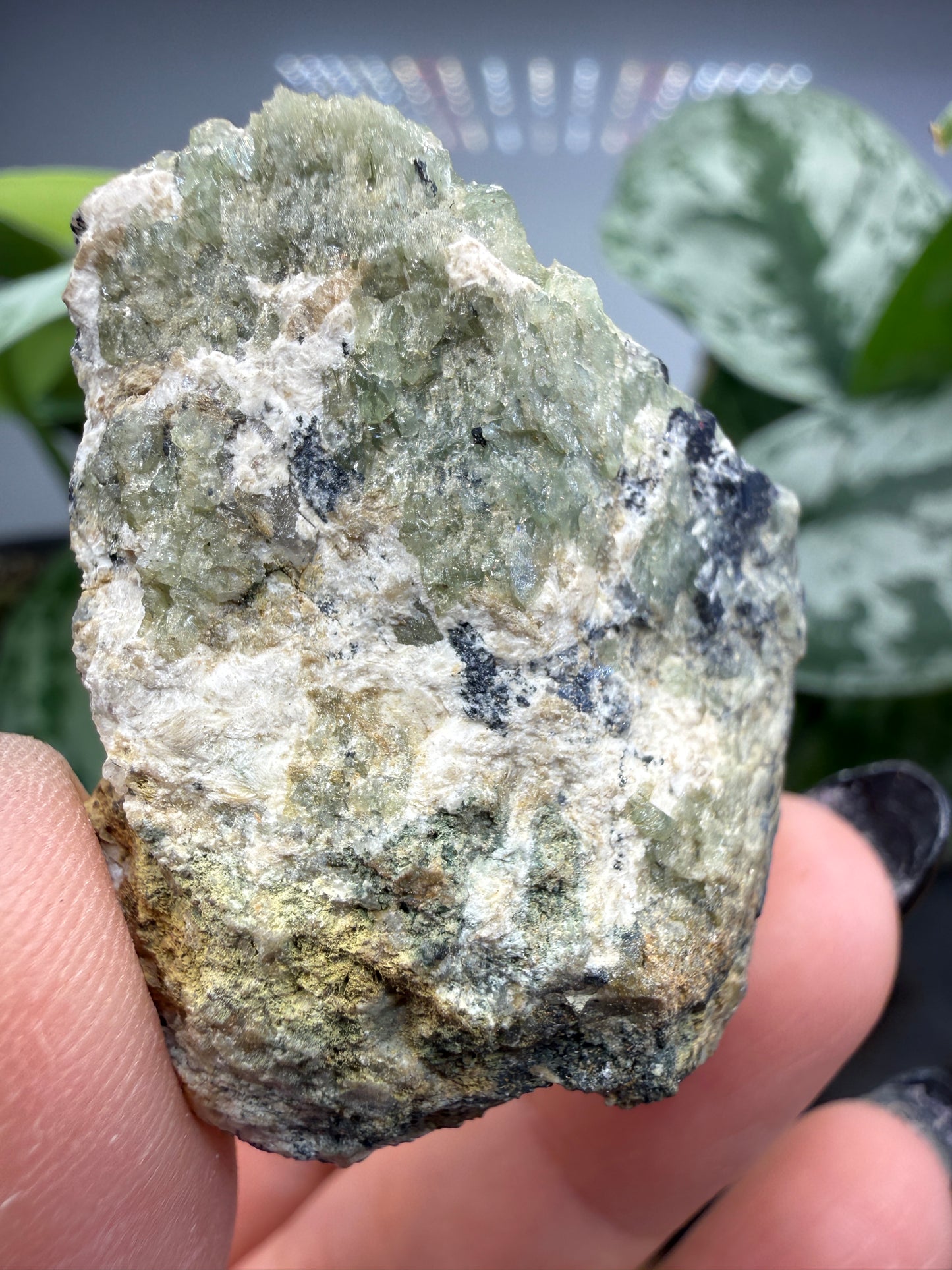 Ludlamite with Vivianite, Fairfieldite & Triphylite- Palermo No. 1 Mine, North Groton, New Hampshire, USA