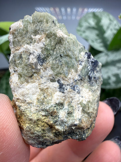 Ludlamite with Vivianite, Fairfieldite & Triphylite- Palermo No. 1 Mine, North Groton, New Hampshire, USA
