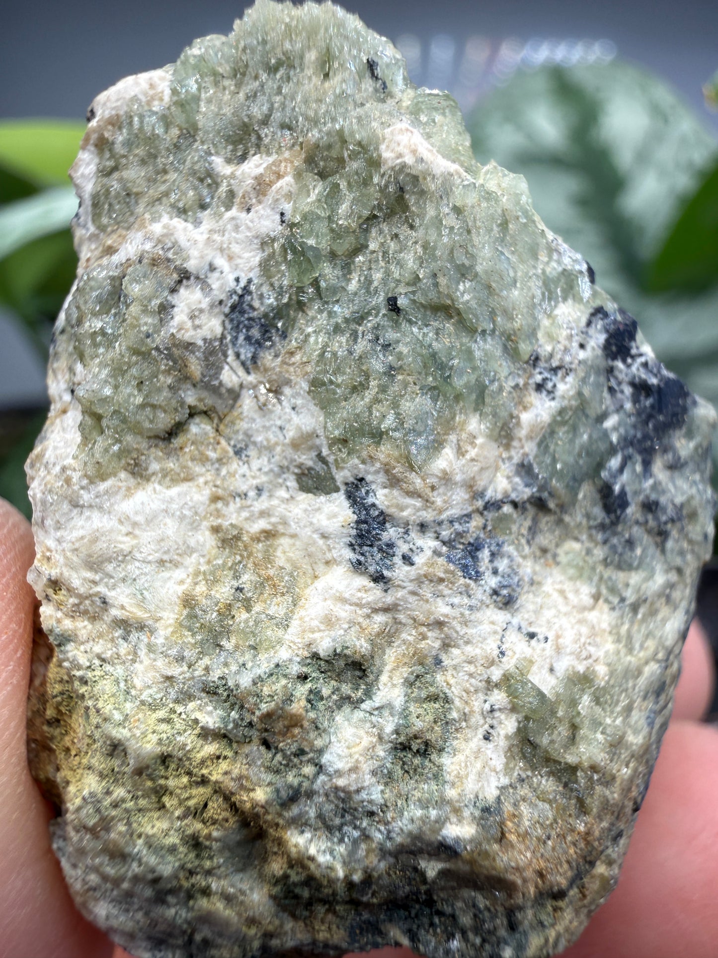 Ludlamite with Vivianite, Fairfieldite & Triphylite- Palermo No. 1 Mine, North Groton, New Hampshire, USA