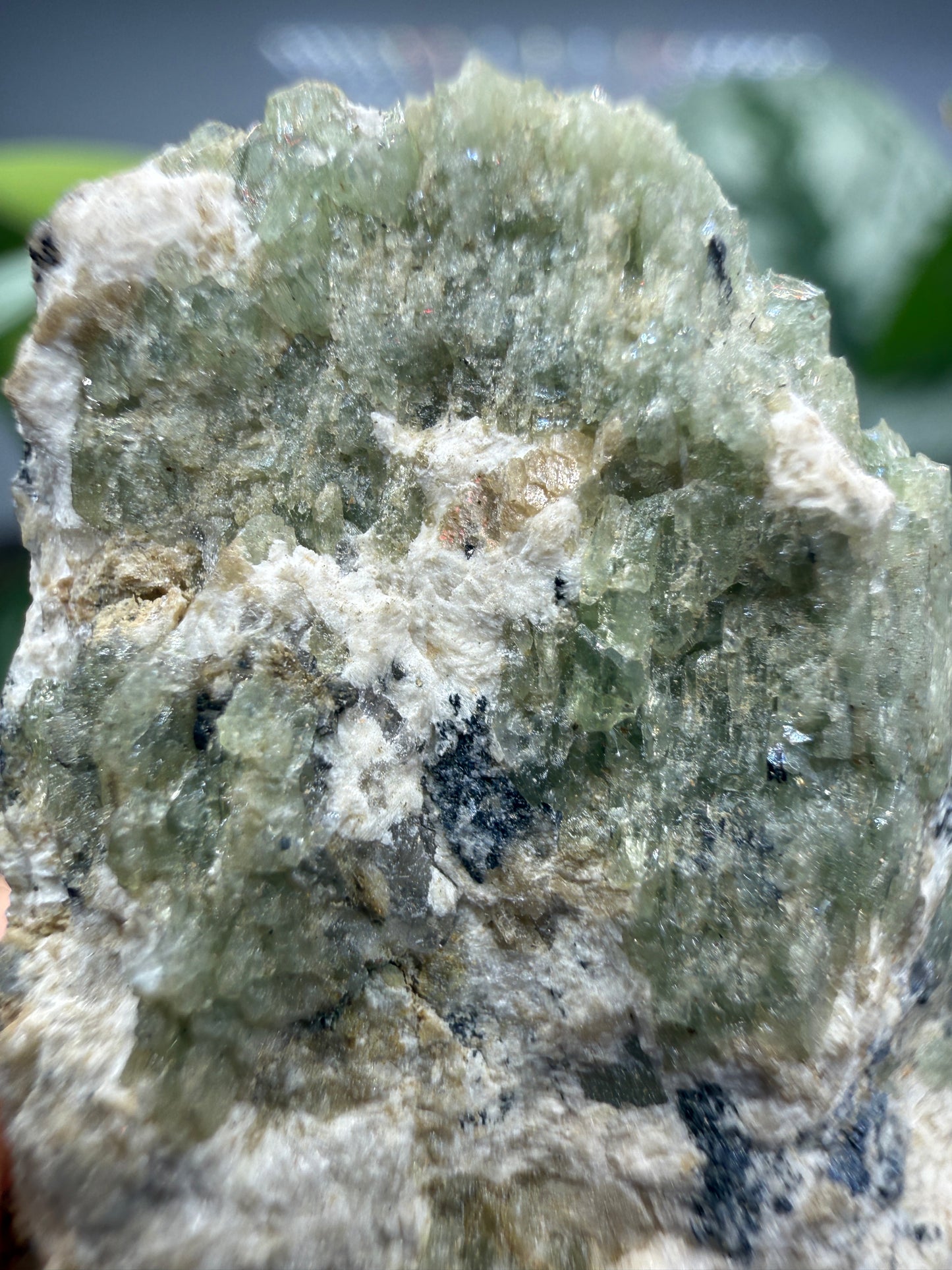Ludlamite with Vivianite, Fairfieldite & Triphylite- Palermo No. 1 Mine, North Groton, New Hampshire, USA