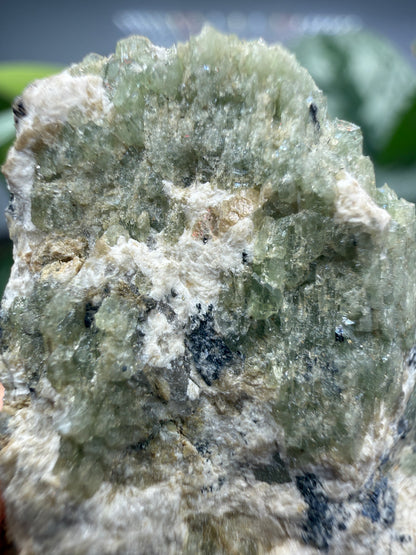 Ludlamite with Vivianite, Fairfieldite & Triphylite- Palermo No. 1 Mine, North Groton, New Hampshire, USA