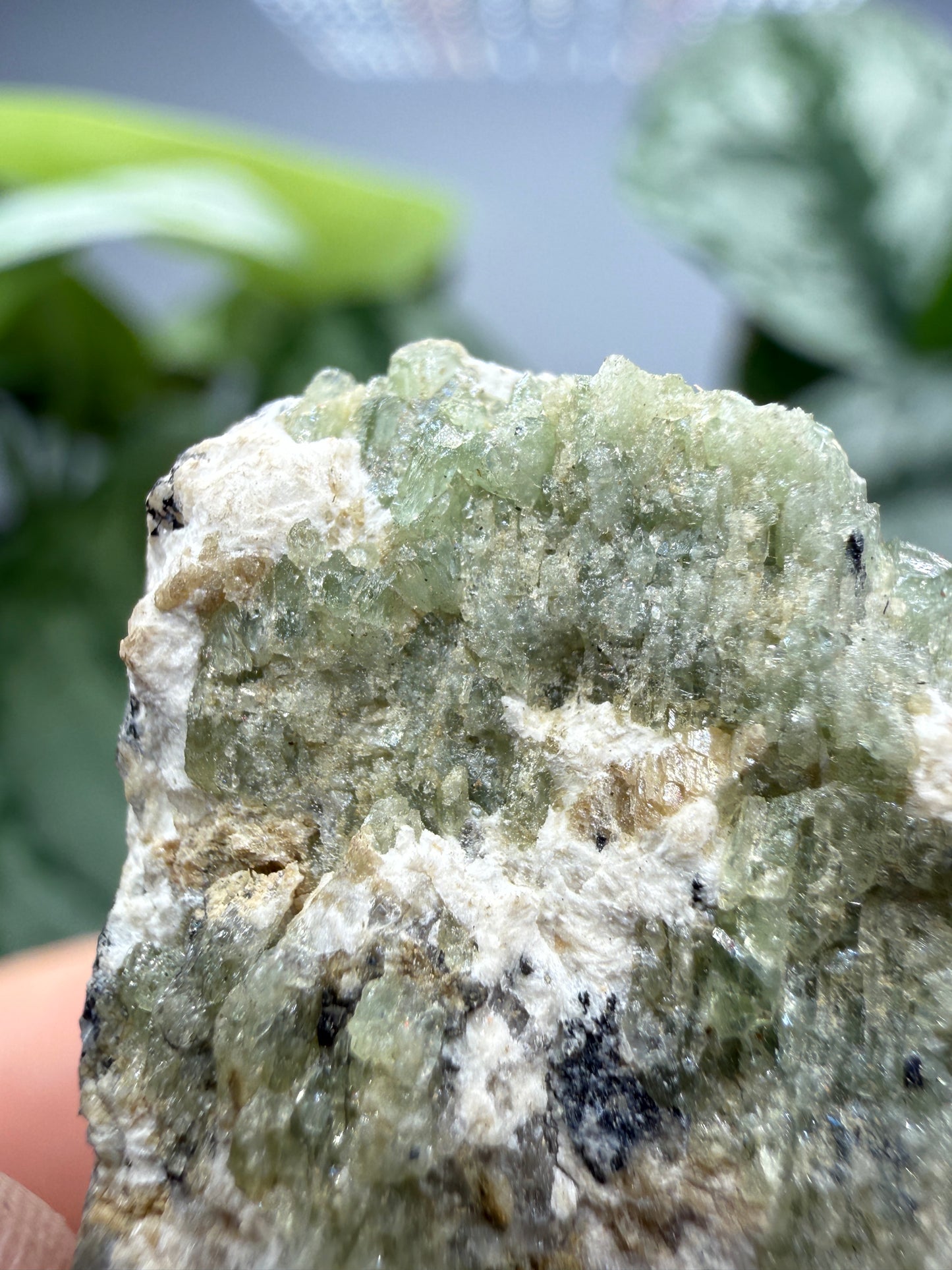 Ludlamite with Vivianite, Fairfieldite & Triphylite- Palermo No. 1 Mine, North Groton, New Hampshire, USA