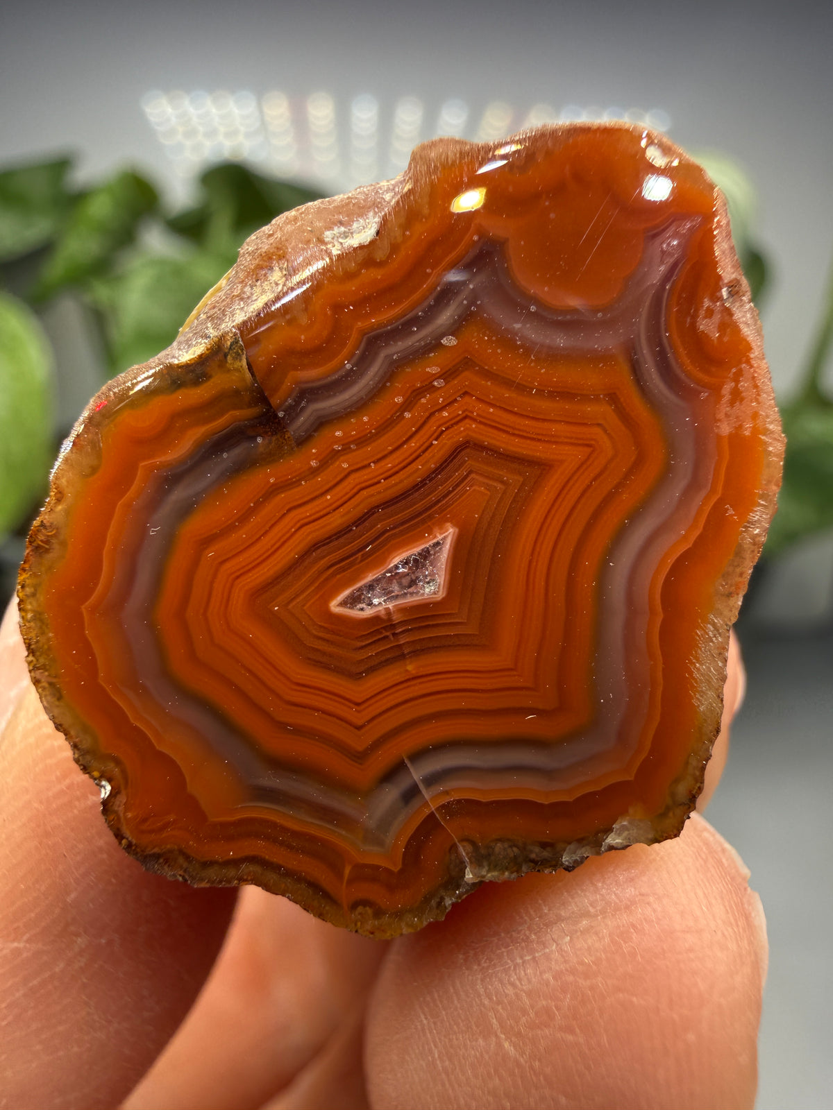 Banded Agate with Quartz Druzy- Mexico