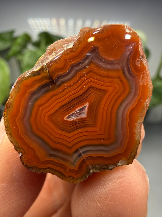 Banded Agate with Quartz Druzy- Mexico